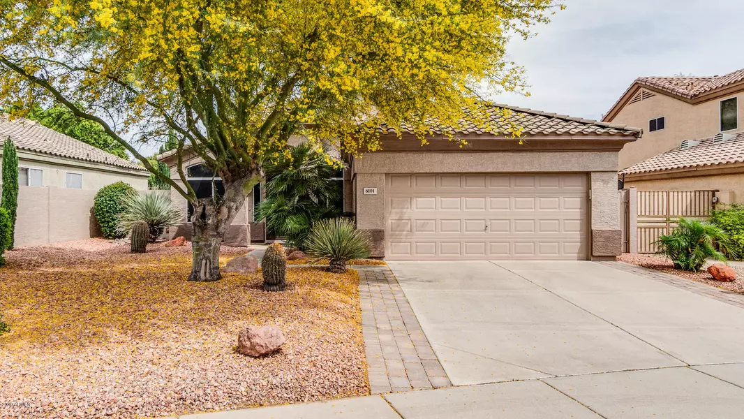 6101 W IRMA Lane, Glendale, AZ 85308