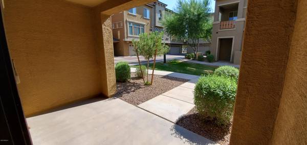 Gilbert, AZ 85233,240 W JUNIPER Avenue #1063