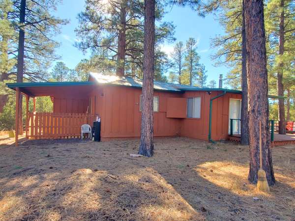 Overgaard, AZ 85933,2905 PINE RIM Road