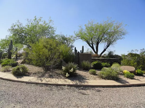 Wickenburg, AZ 85390,1055 W MONTE VISTA Trail #19