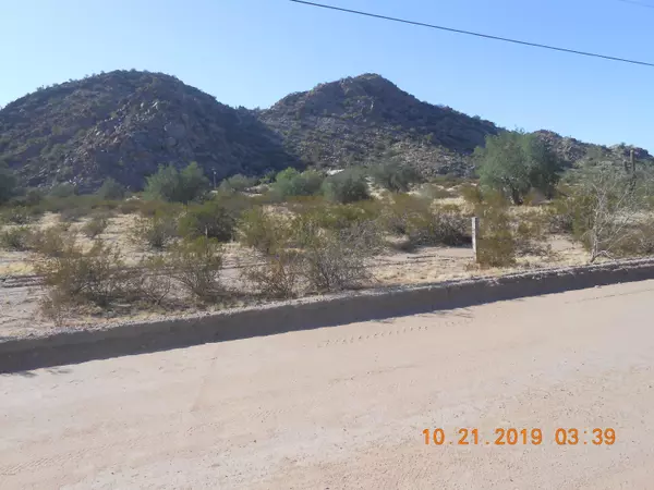 Maricopa, AZ 85139,1091 S Green Road #-