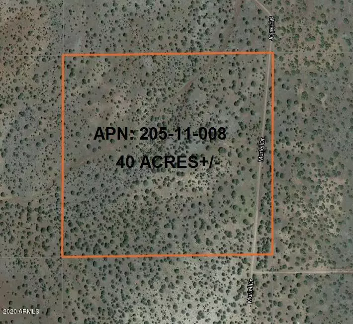 Seligman, AZ 86337,2626 MURIEL Drive #-