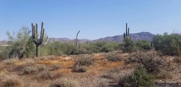 62 E Seco Place #14, Cave Creek, AZ 85331