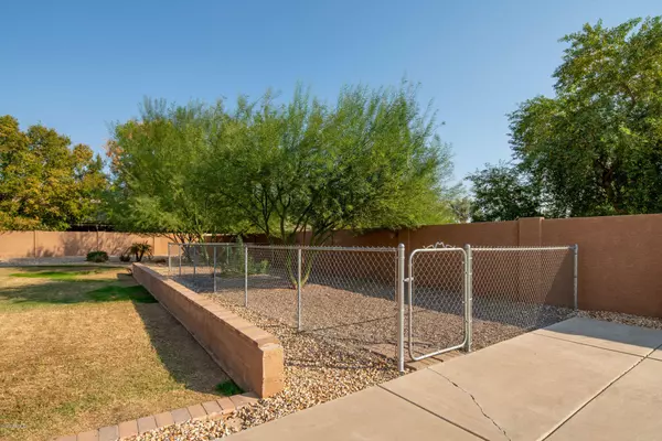 Peoria, AZ 85383,22431 N 81ST Avenue