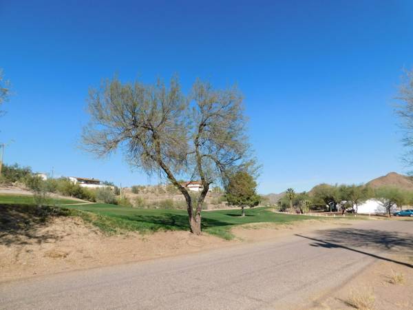 Queen Valley, AZ 85118,1393 E Silver King Road #173J