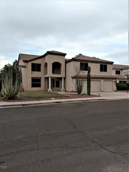 1132 W WILDHORSE Drive, Chandler, AZ 85286