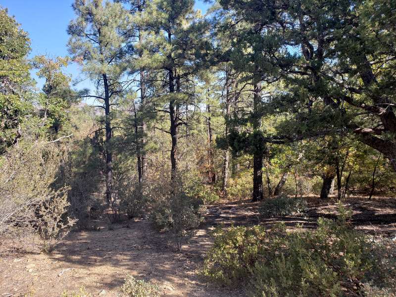 5300 W Timberlost Trail #-, Prescott, AZ 86305