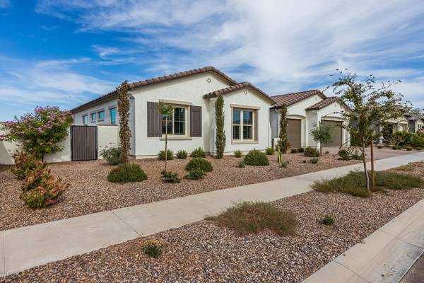 Mesa, AZ 85212,10422 E THORNBUSH Avenue