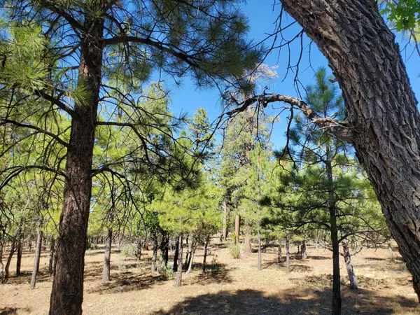 2366 Pine Canyon Drive #184, Happy Jack, AZ 86024