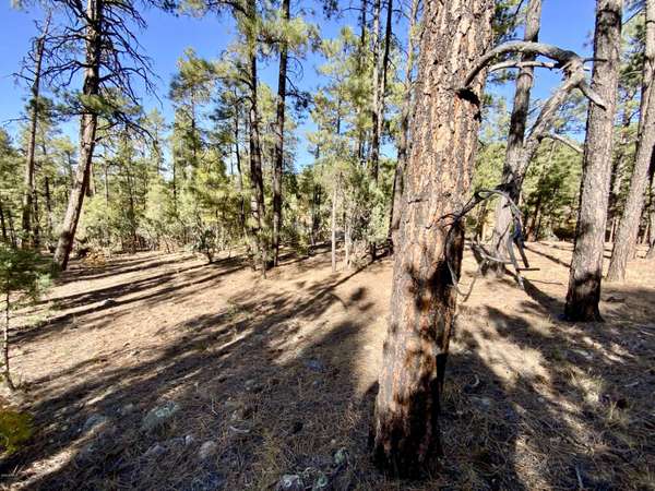 Show Low, AZ 85901,2450 S HIDDEN RIDGE Trail #-