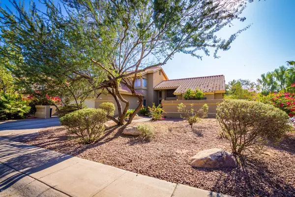 1655 W TYSON Street, Chandler, AZ 85224