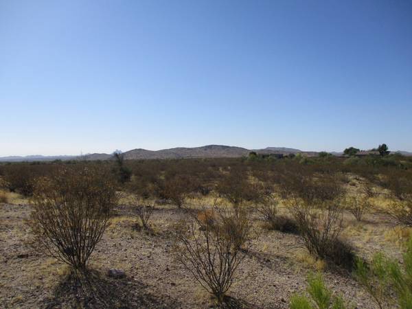 Wickenburg, AZ 85390,21775 W DATE CREEK Road #10