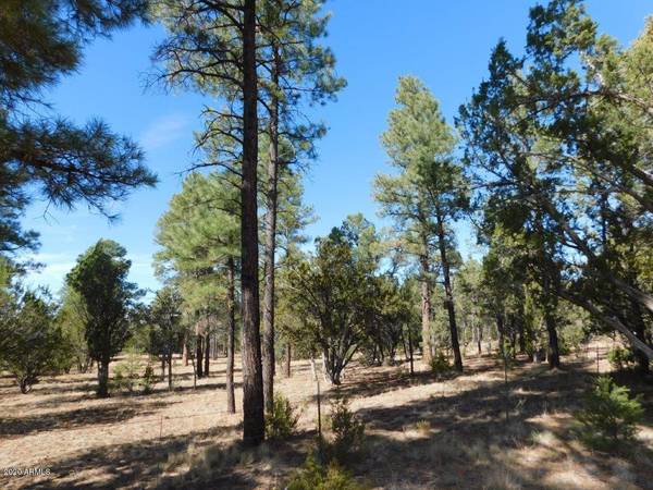 Overgaard, AZ 85933,3238 JEEP Trail #-