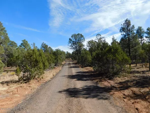 Overgaard, AZ 85933,3238 JEEP Trail #-