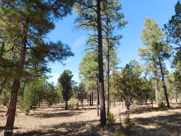 Overgaard, AZ 85933,3238 JEEP Trail #-