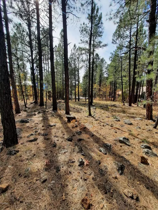 Pinetop, AZ 85935,2802 BLUE LAKE Circle #-