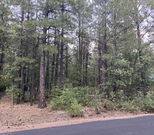 Pinetop, AZ 85935,2802 BLUE LAKE Circle #-