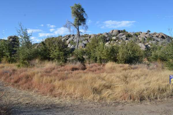 Yarnell, AZ 85362,22870 S METATE FOREST Trail #-