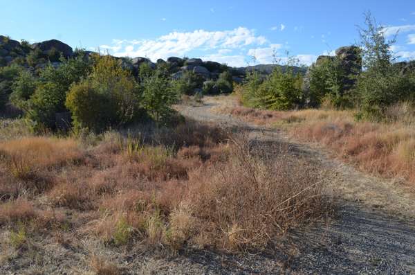 Yarnell, AZ 85362,22870 S METATE FOREST Trail #-