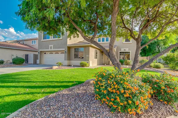 Chandler, AZ 85248,125 W TEAKWOOD Place