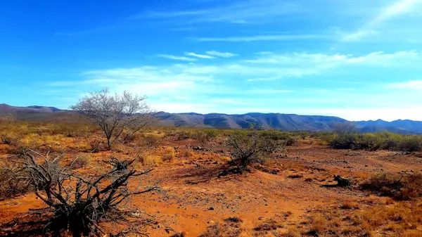 31 E Jones Boulevard #31, Tombstone, AZ 85638