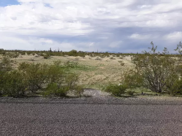 Florence, AZ 85132,0 S Diffin Road #-