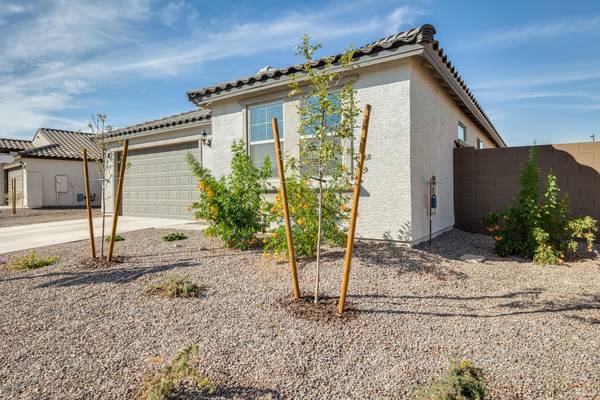 Buckeye, AZ 85326,19192 W JACKSON Street