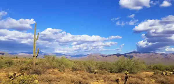 Rio Verde, AZ 85263,31500 N 174th Street #3