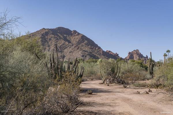 Paradise Valley, AZ 85253,6248 E PALO VERDE Lane #6