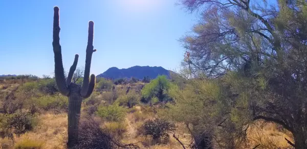 13820 E Villa Cassandra Drive #4, Scottsdale, AZ 85262