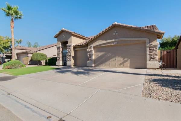 Chandler, AZ 85248,2216 W PERIWINKLE Way