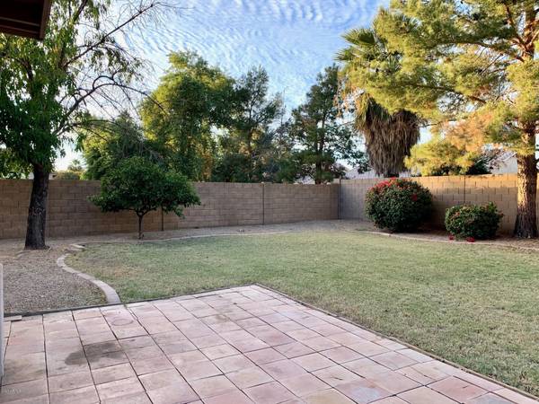 Chandler, AZ 85286,1352 W Roadrunner Drive