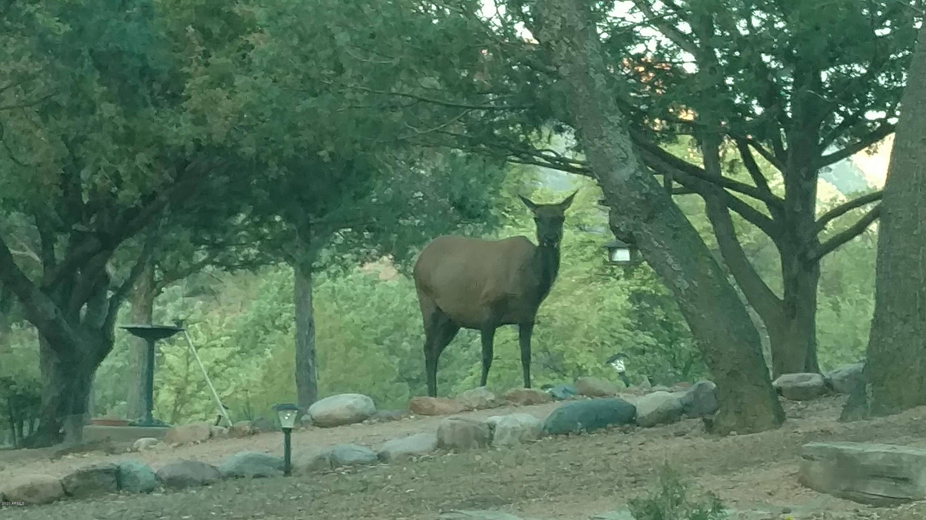 Star Valley, AZ 85541,2160 S MOONLIGHT Drive
