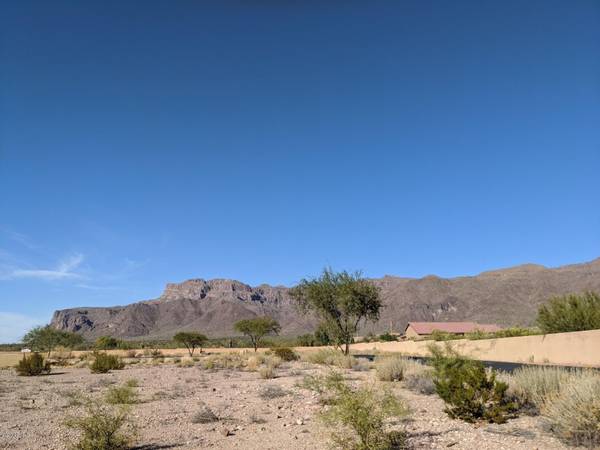 2946 S PETROGLYPH Trail #62, Gold Canyon, AZ 85118