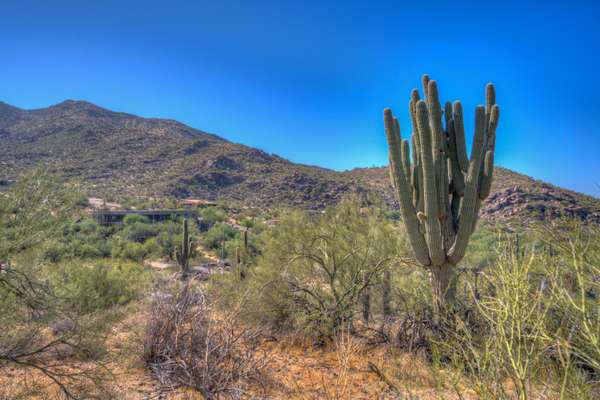 Cave Creek, AZ 85331,6901 E SKYLINE Drive