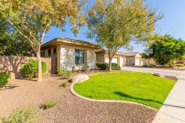 Gilbert, AZ 85298,1058 E LODGEPOLE Drive