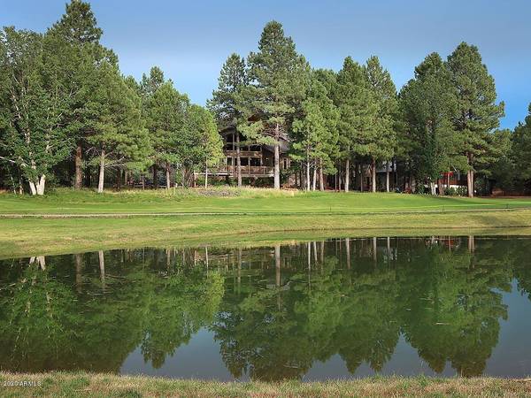 Pinetop, AZ 85935,3432 Wild Cat Circle