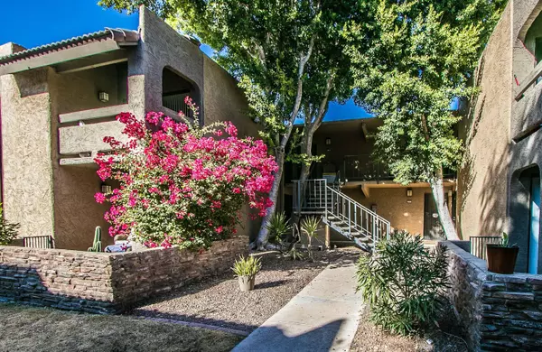 Phoenix, AZ 85018,3825 E CAMELBACK Road #167