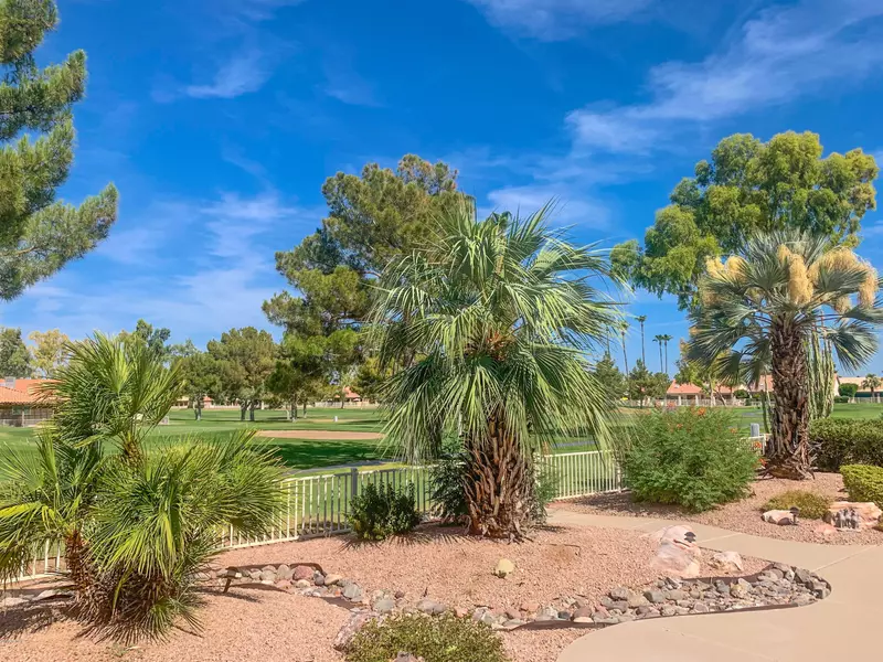 26012 S FLAME TREE Drive, Sun Lakes, AZ 85248