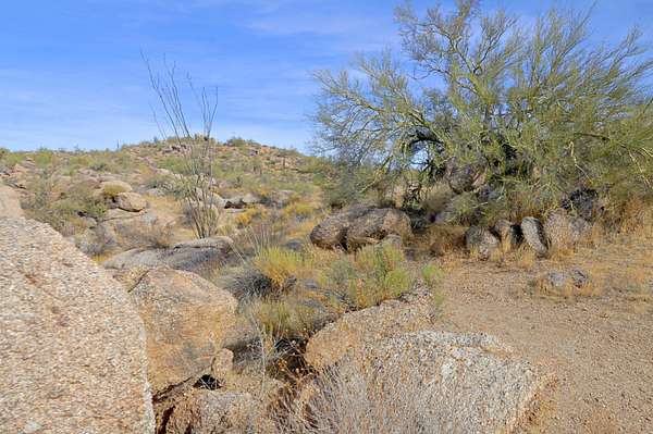 Scottsdale, AZ 85262,11132 E HARRIS HAWK Trail #22