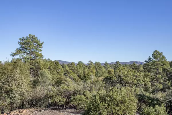 Payson, AZ 85541,2806 E Golden Rod Circle