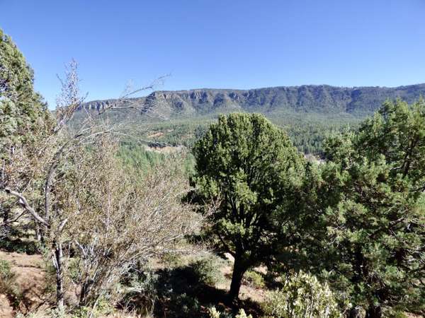 Pine, AZ 85544,16 Canyon Vista -- #16