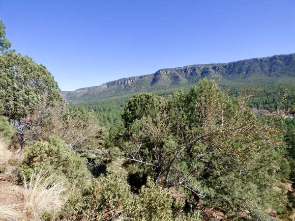 Pine, AZ 85544,16 Canyon Vista -- #16