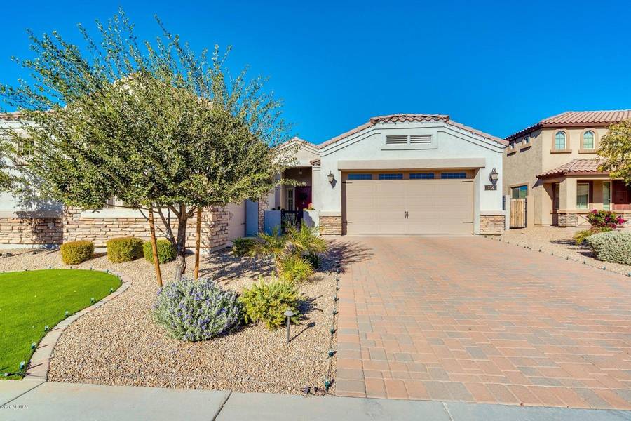 234 E MEAD Drive, Chandler, AZ 85249