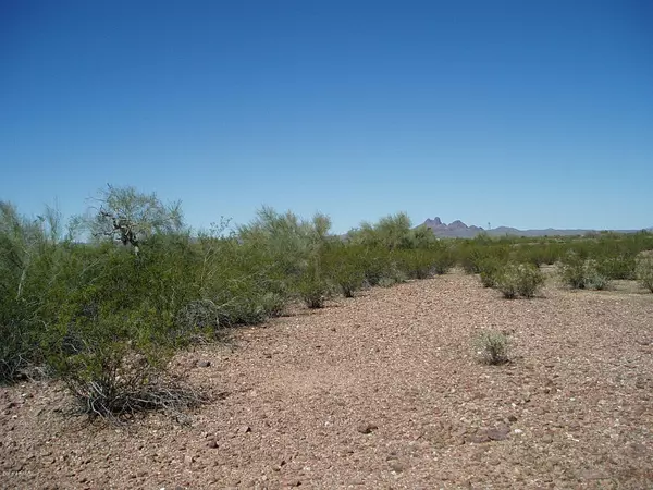Unincorporated County, AZ 85390,32402 W Lone Mountain Road #243