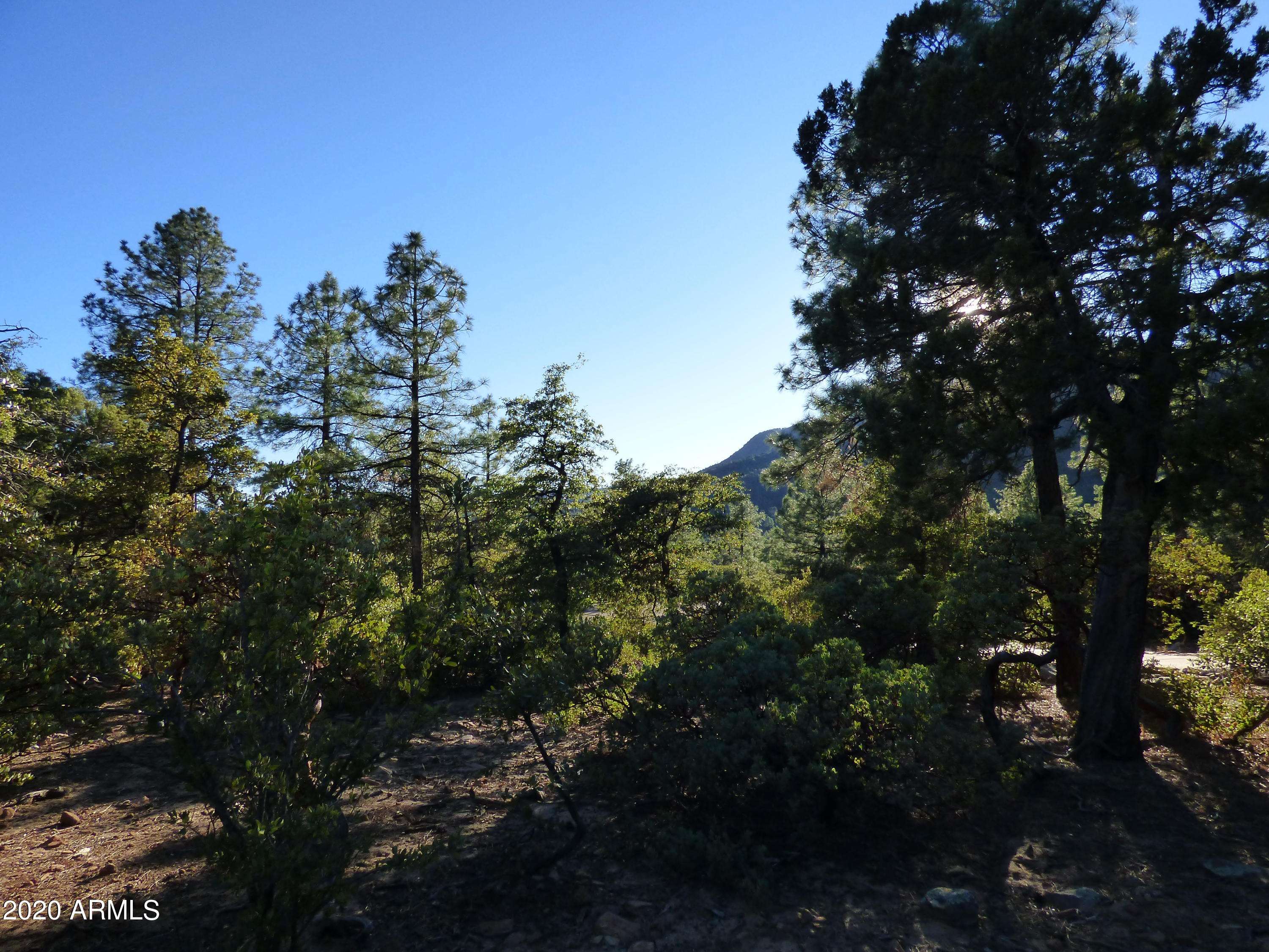 Pine, AZ 85544,4525 N Sundown Lane #106