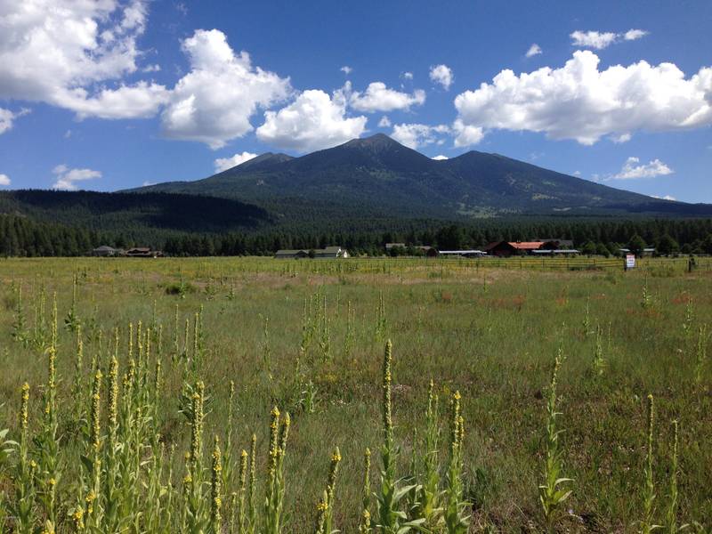 8750 RANCH AT THE PEAKS Way #19, Flagstaff, AZ 86001