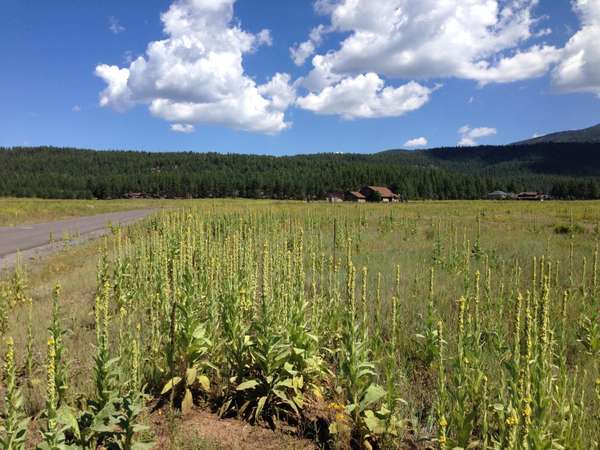 Flagstaff, AZ 86001,8694 RANCH AT THE PEAKS Way #20