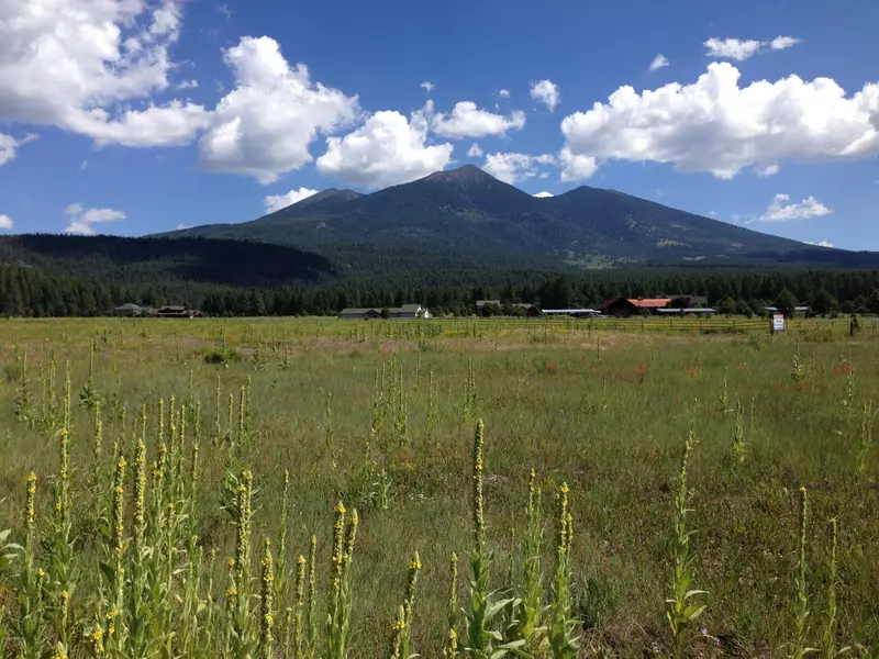 9390 RANCH AT THE PEAKS Way #44, Flagstaff, AZ 86001