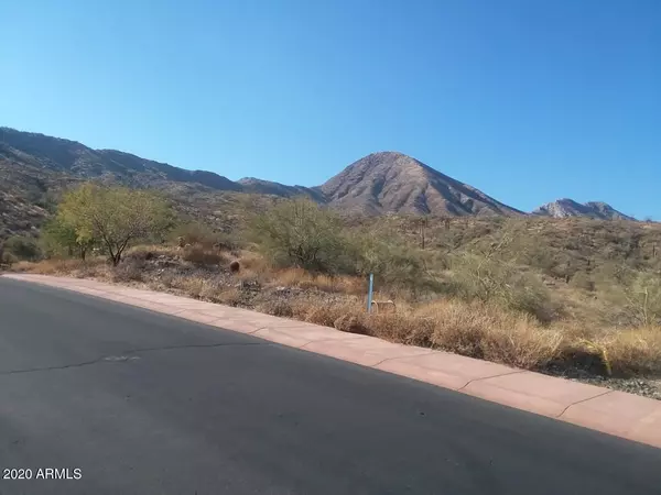 Fountain Hills, AZ 85268,14233 E GREY OWL Trail #176